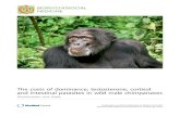 The costs of dominance: testosterone, cortisol and ... · aggression and dominance rank during situations of social instability, such as during challenges by conspeci-fic males for