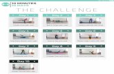 The Challenge · 2019. 7. 28. · THE CHALLENGE pÚ;ì pÚ