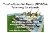 ThorCon Molten Salt Reactor (TMSR-500) Technology for ...thorconpower.com/slides/TEAC10 dfw 20190930.pdf · ThorCon Molten Salt Reactor (TMSR-500) Technology for Indonesia Dane Wilson,