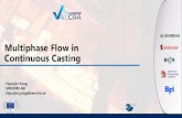 Multiphase Flow in Continuous Casting · 2020. 11. 3. · Background of multiphase flow in CC • Continuous Casting is a multiphase process due to solidification / melting and argon
