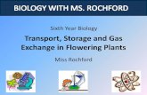 Transport, Storage and Gas Exchange in Flowering Plantsrochfordbiology.weebly.com/uploads/1/3/1/9/... · Transport, Storage and Gas Exchange in Flowering Plants Miss Rochford Sixth