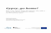 Gypsy, go home! - Civil Rights Defenders · Gypsy, go home! Hate crime against Roma EU-migrants who make a living on the streets of Malmö, Sweden. An intermediary report. Skåne