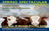 Muscle. Milk. Performance. - Transcon Livestock · 2009. 3. 19. · RTC 58U Performance LOT # 23 MKEY 23U 42cm’s. Spring Spectacular XXXVI — 1 ... Brian Mackenzie, Brylor Ranches,