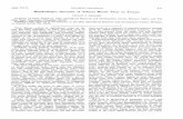 Phyto61n06 611 · Title: Phyto61n06_611.pdf Created Date: 6/18/2009 12:14:48 PM