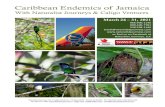 Caribbean Endemics of Jamaica - Naturalist JourneysAntonio. Accommodations near Port Antonio (B,L,D) Wed., Mar. 31 Return to Kingston | Departures We spend our final morning birding