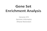 Gene Set Enrichment Analysis - elbo.gs.washington.edu...Gene expression profiling Which molecular processes/functions are involved in a certain phenotype (e.g., disease, stress response,
