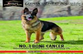 NO. 1 BONE CANCER · Osteosarcoma, or bone cancer, is a tough, challenging malignancy. No one knows exactly what causes osteosarcoma; however, large and giant breeds are considered