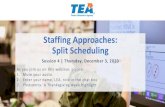 Staffing Approaches: Split Scheduling · Final tips forSplit Scheduling. 19. Budget sufficient timefor master scheduling Play to teachers’ strengthsin number of on-campus vs. remote