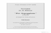 Arpeggione Sonata in A-minor [D821] - free-scores.com · Sonata in A Minor Per Arpeggione The Guitarre d amour was invented in 1821 by Johann Georg Stauffer (1778-1853). About the
