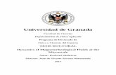 Universidad de Granadahera.ugr.es/tesisugr/26615654.pdf · 2017. 7. 7. · Universidad de Granada Facultad de Ciencias Departamento de Física Aplicada Programa de Doctorado de Física