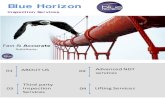 Blue Horizon...Blue Horizon Services(BHS) provides technical expertise and cutting-edge Advanced Non-Destructive Testing solutions, Third-Party Inspection & Lifting Inspection services