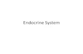 Endocrine System - Sintich Sciencesintichscience.weebly.com/.../22479874/endocrine_system.pdf · 2018. 9. 9. · Purpose of the endocrine system: •Works with nervous system to coordinate