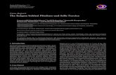 Case Report The Enigma behind Pituitary and Sella TurcicaCase Report The Enigma behind Pituitary and Sella Turcica UmarevathiGopalakrishnan, 1 LoddMahendra, 1 SumanthRangarajan, 1