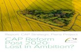 Report: CAP Strategic Plans Project CAP Reform Post 2020 ... · Report: CAP Strategic Plans Project CAP Reform Post 2020: Lost in Ambition? Authors: Matteo Metta, Policy Analyst and