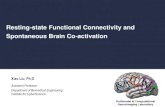 Resting-state Functional Connectivity and Spontaneous Brain Co … · 2020. 4. 13. · CorrMap from 123 volumes Average of 18 volumes Single volume Average of 15% data Group Level