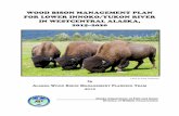 WOOD BISON MANAGEMENT PLAN FOR LOWER ...ADF&G will be the lead agency in reintroductions and, using scientific knowledge and experience, will have primary responsibility for bison