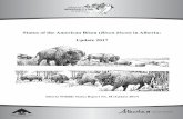 Status of the American Bison in Alberta...ii iii PREFACE Every five years, Alberta Environment and Parks reviews the general status of wildlife species in Alberta. General status assessments