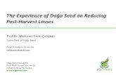 The Experience of Doğa Seed on Reducing Post-Harvest Losses · Post-harvest losses in potato Both pre- and post-harvest conditions affects losses Pre-harvest factors Cultivar and