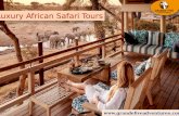 Luxury African Safari Tours