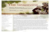 The Grapevine · 2020. 12. 18. · Christmas Eve Services As is our tradition, we will hold three Christmas Eve services at 4:00pm, 7:00pm and 11:00pm. We will be sending out an email