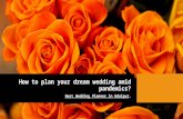 How to plan your dream wedding amid pandemics?