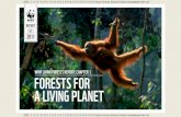 WWF LIVING FORESTS REPORT: CHAPTER 1 FORESTS ......– by 50 per cent. To eliminate this ecological overshoot, we need to balance human demand with the regenerative capacity of the