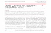 Cardiac T1 Mapping and Extracellular Volume (ECV) in clinical … · 2017. 8. 29. · REVIEW Open Access Cardiac T1 Mapping and Extracellular Volume (ECV) in clinical practice: a