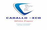 CABALLO -XCBcaballocoin.io/assets/docs/CaballoCoin-Whitepaper.pdfCABALLO -XCB White Paper . Author: suriyaganthan devarajan Created Date: 11/9/2020 12:55:49 PM