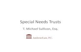Special Needs Trusts - AndoverLaw, P.C. · 2018. 7. 18. · Special Needs Trusts T. Michael Sullivan, Esq. Definition of Special Needs Special Needs: Of or relating to people who