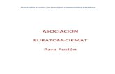 ASOCIACIÓN EURATOM-CIEMAT Para Fusión · 2012. 2. 9. · 4 Asociacion EURATOM -CIEMAT para Fusión. Annual Report 2010 3. DEVELOPMENT OF CONCEPT IMPROVEMENTS AND ADVANCES IN FUNDAMENTAL