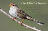 His Eye Is On The Sparrow - Veracity · 2016. 5. 7. · fool than for him. [Proverbs 26:12 NET] "Bring the entire tithe into the storehouse so that there may be food in my temple.