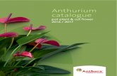 Anthurium catalogue - DE PLANTIS · 2019. 12. 2. · Marieke van der Hilst-Karrewij Area Manager (Ofﬁ ce) Johan van Vliet Area Manager Richard Smit Sales & Product Manager Anthurium