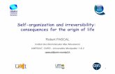 Self-organization and irreversibility: consequences for ...exobiospatiale.univ-amu.fr/.../Atelier_2013_files/... · Watson & Crick Nature, 1953, 171, 737. The origins of life: by