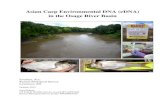 Asian Carp Environmental DNA (eDNA) in the Osage River Basinbiosurvey.ku.edu/sites/biosurvey.ku.edu/files...Asian Carp eDNA in the Osage River Basin - 3 western tributaries coming