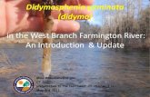 Didymosphenia geminata (didymo)nwctu.com/Documents/didymo/didymo_nwtu_3.pdf · 2014. 4. 4. · Invertebrate drift and trout growth potential in a Didymo (Didymosphenia geminata) affected