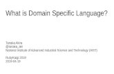 What is Domain Specific Language? · 2019. 9. 12. · DSL – Domain Specific Language DSL stands for domain specific language DSL is implemented in two ways: – External DSL: individual