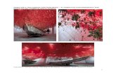Western Cape · Web viewFor the 2015 Venice Art Biennale, contemporary Japanese artist Chiharu Shiota created an installation titled The Key in the Hand.It is constructed as a tightly