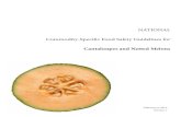 Western Growers | - Cantaloupes and Netted Melons · 2019. 12. 16. · National Food Safety Guidelines 6 Cantaloupes and Other Netted Melons Terms used in this document, have been