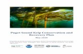 Puget Sound Kelp Conservation and Recovery Plan ... Vibrant kelp forests are vital to the health of