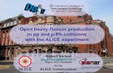 Open heavy-flavour production in pp and p-Pb collisions with the … · 2018. 11. 20. · in pp and p-Pb collisions with the ALICE experiment 25th International Workshop on ... Full