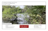 SUWANNEE RIVERFRONT LAND FOR SALE 1.6 acres on ......LAND FOR SALE 1.6 acres on 229th Drive Live Oak, FL 32060 25504 NW 122nd Ave High Springs, FL 32643 844.799.3044 Terry Bickel ALC,