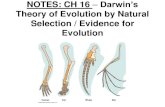 NOTES: CH 16 Darwin’s Theory of Evolution by Natural Selection / Evidence for Evolution · 2017. 3. 8. · EVIDENCE FOR EVOLUTION 1)Fossils: evidence of once-living things (shells,
