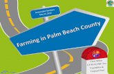 Palm Beach County Ag...-Sandlands- • Eastern PBC • Very low OM • Very low nutrients • Alkaline soil pH • Nematodes Nematodes Microscopic worms – Mostly slender – Range: