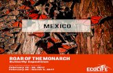 ECOLIFE Mexico Brochure 2017...• ECOLIFE Executive Director and local guides with over 25 years of experience in Mexico and extensive knowledge of local wildlife, culture, and history