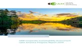 SAM Corporate Sustainability Assessment Latin America … · 2020. 3. 24. · 2 • RobecoSAM • Corporate Sustainability Assessment SAM Corporate Sustainability Assessment Latin