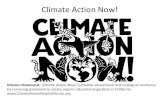 Climate Action Now! - SF Environment...Sunset Boulevard Reforestation Program. Community Engagement Partnership and community engagement have made this endeavor possible. From tree