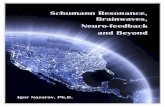 Schumann Resonance, Brainwaves, Neuro-feedback and ......resonance frequencies as referent points. To check the hypotheses presented above, a low-temperature plasma generator was used