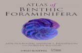 Atlas of Benthic Foraminifera - Startseitedownload.e-bookshelf.de/download/0003/7908/58/L-G...Foraminifera. 2. Benthos. 3. Marine organisms. I. Henderson, Andrew S. II. Natural History