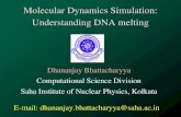 Molecular Dynamics Simulation: Understanding DNA meltingcse.iitkgp.ac.in/conf/CBBH/lectures/DhananjayBhattacharyya_2.pdf · Molecular Dynamics Simulation: Understanding DNA melting