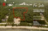 17,063 Square Meter Lot Lisob, Malinao, Siargao · 2020. 8. 26. · Details Location Lisob Malinao, Siargao Lot Area 17,063 square meters Description Approximately 50 meters away